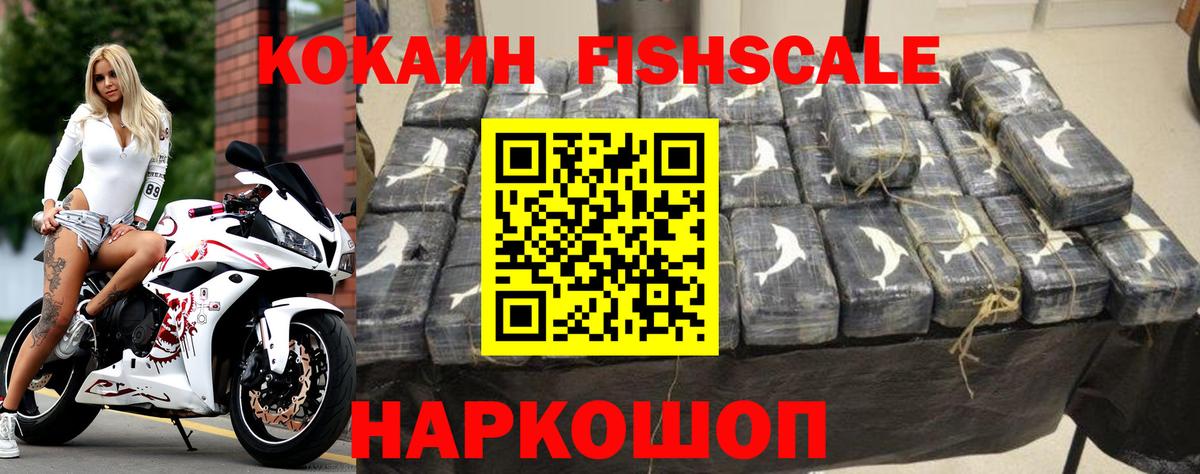 Кокаин Эквадор Кузнецк