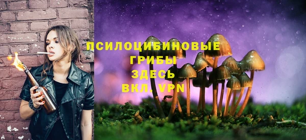 бутират Балахна