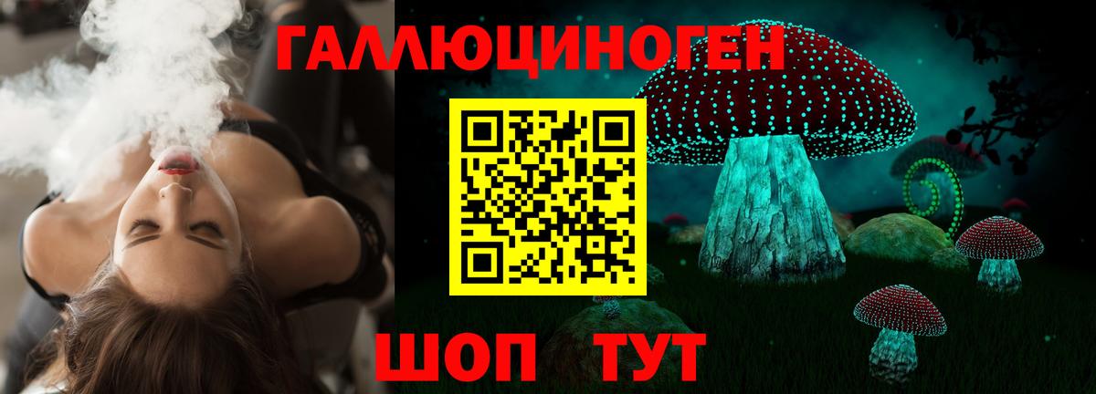 Галлюциногенные грибы GOLDEN TEACHER  Вход с VPN  Кузнецк 