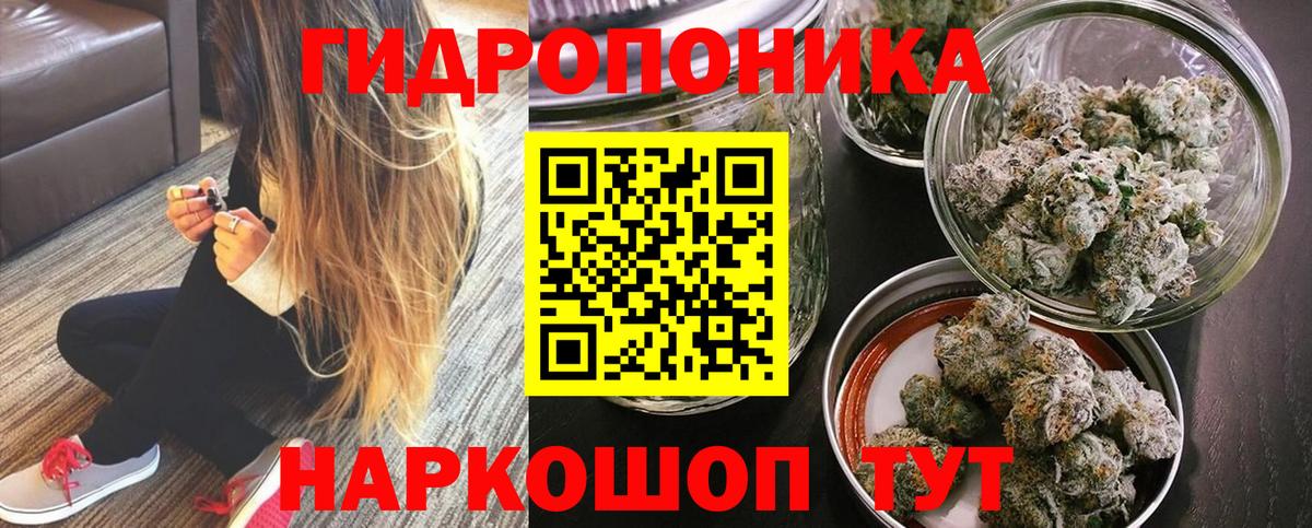 Бошки марихуана марихуана  Вход с VPN  Конопля тримм  Кузнецк  Канабис ГИДРОПОН 